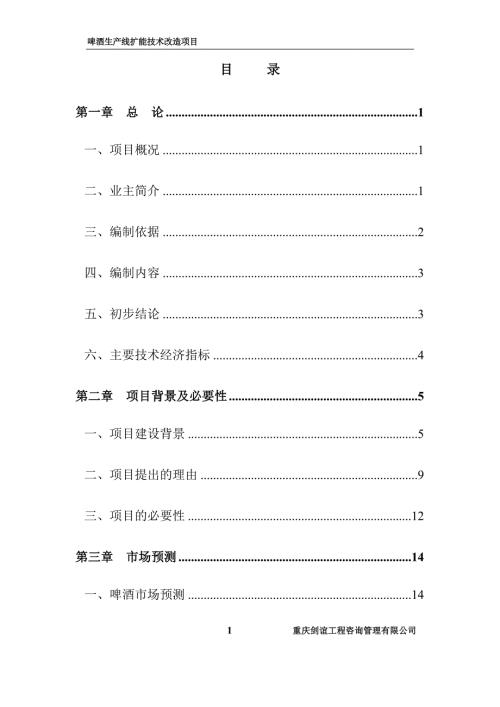 定稿啤酒生產線擴能技術改造項目可行性研究報告