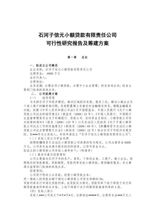 石河子信元小額貸款有限責任公司項目可行性研究報告及籌建方案26頁