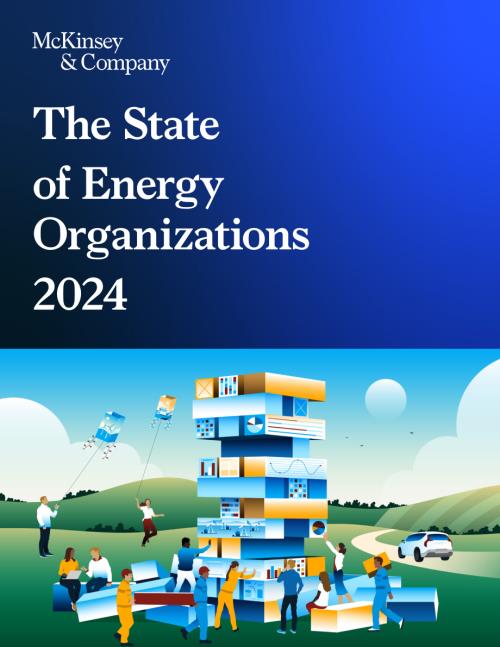 麥肯錫：2024年全球能源企業發展現狀報告（英文版）（77頁）
