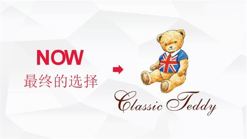 2020購物中心泰迪嘉年華活動策劃方案（42頁）