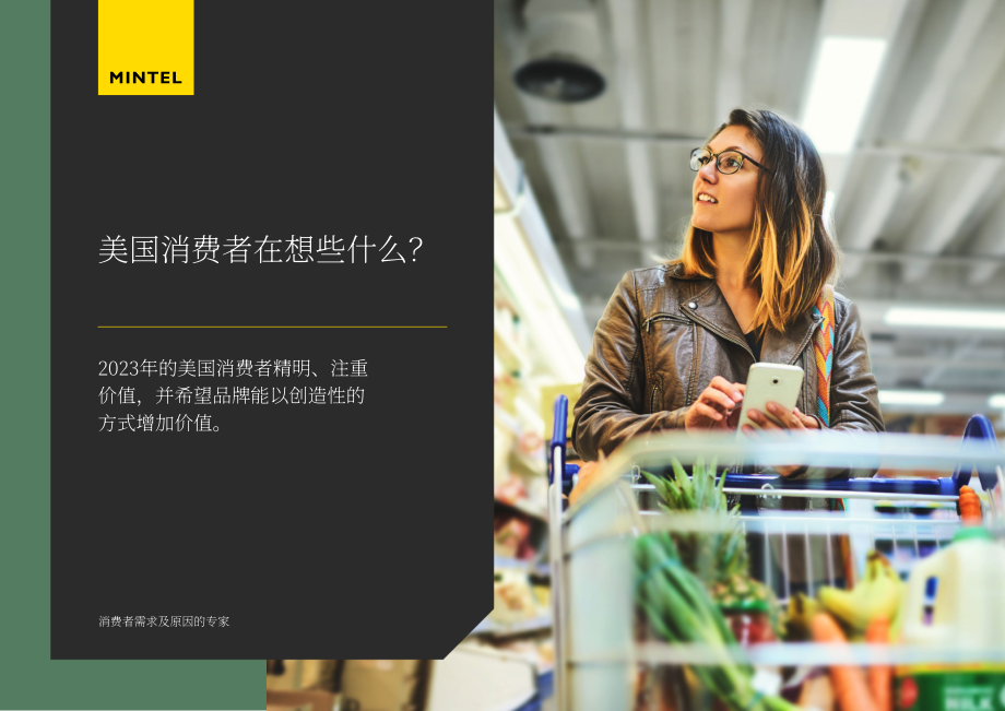 英敏特：2024年美國消費者心智報告（英文版）（33頁）.pdf_第1頁
