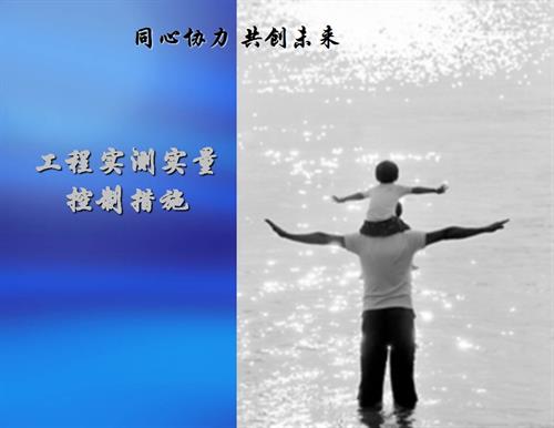 建設公司工程實測實量控制措施（901頁）