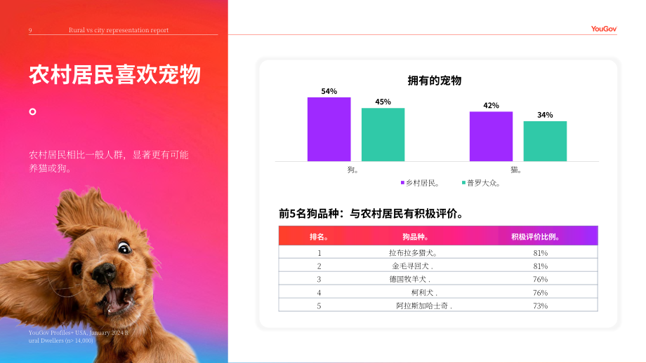 YouGov：2024年美國農村與城市消費人群畫像報告（英文版）（38頁）.pdf_第9頁