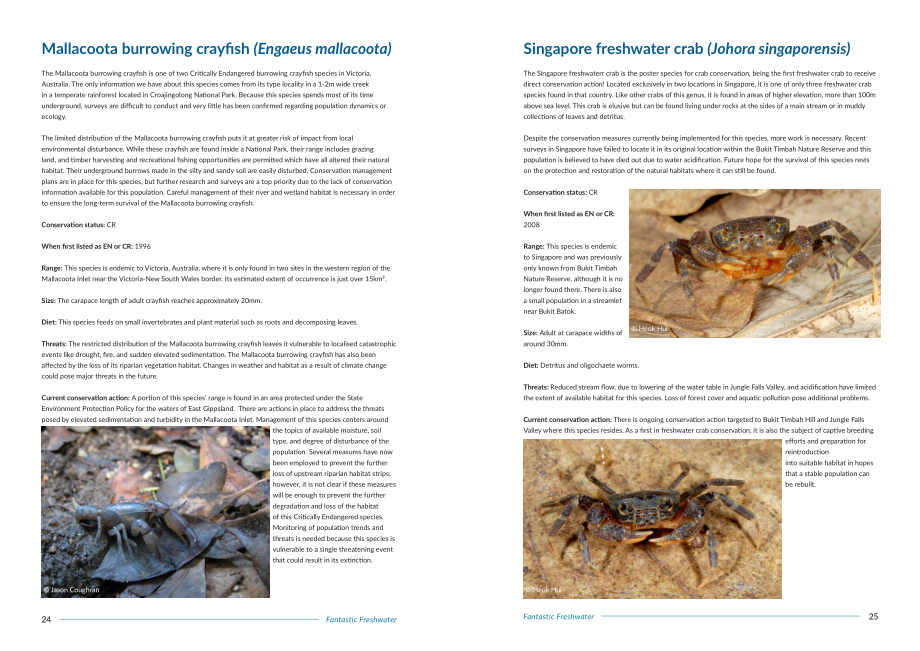 IUCN物種存續委員會（SSC）：神奇的淡水：50個標志性保護物種（2022）（英文版）（41頁）.pdf_第13頁