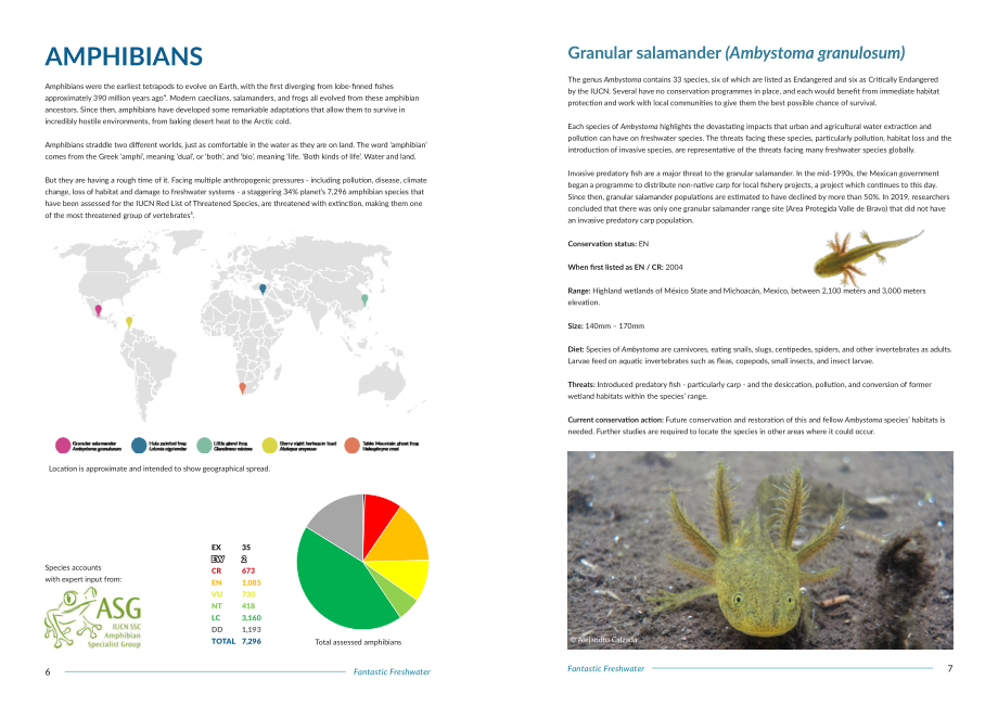 IUCN物種存續委員會（SSC）：神奇的淡水：50個標志性保護物種（2022）（英文版）（41頁）.pdf_第4頁