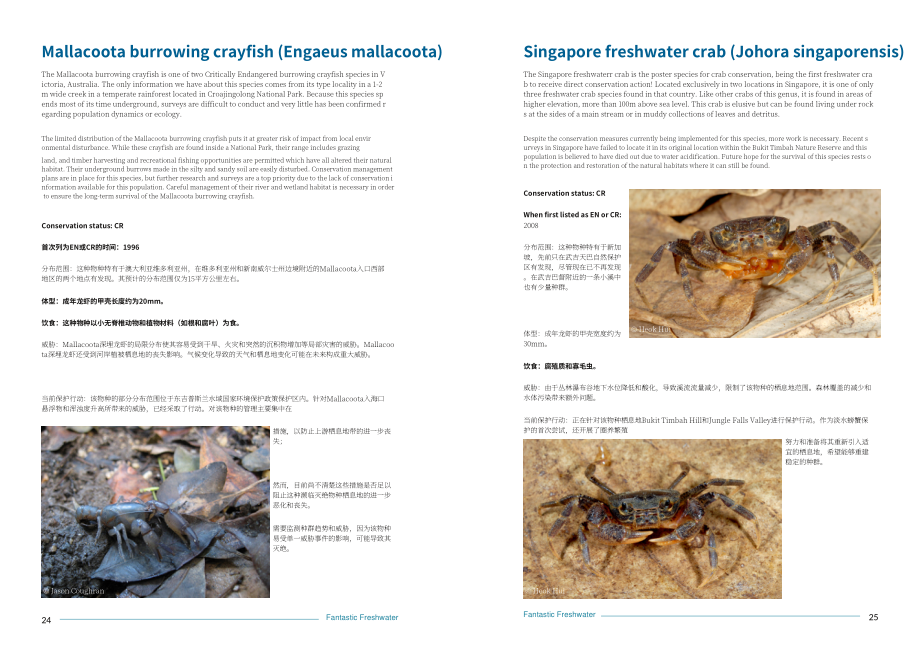 IUCN物種存續委員會（SSC）：神奇的淡水：50個標志性保護物種（2022）（英文版）（41頁）.pdf_第13頁