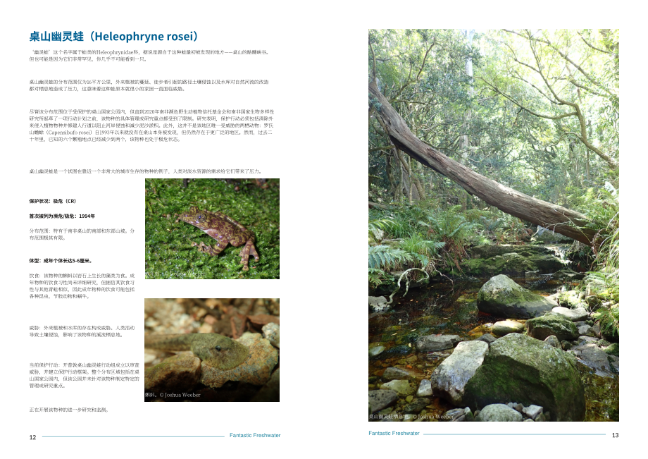 IUCN物種存續委員會（SSC）：神奇的淡水：50個標志性保護物種（2022）（英文版）（41頁）.pdf_第7頁