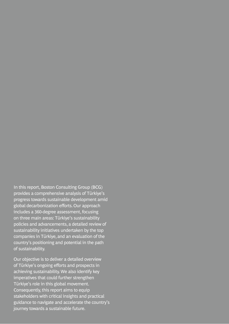 波士頓咨詢BCG：2024年綠色地平線：繪制土耳其的可持續發展之旅報告（英文版）（20頁）.pdf_第2頁