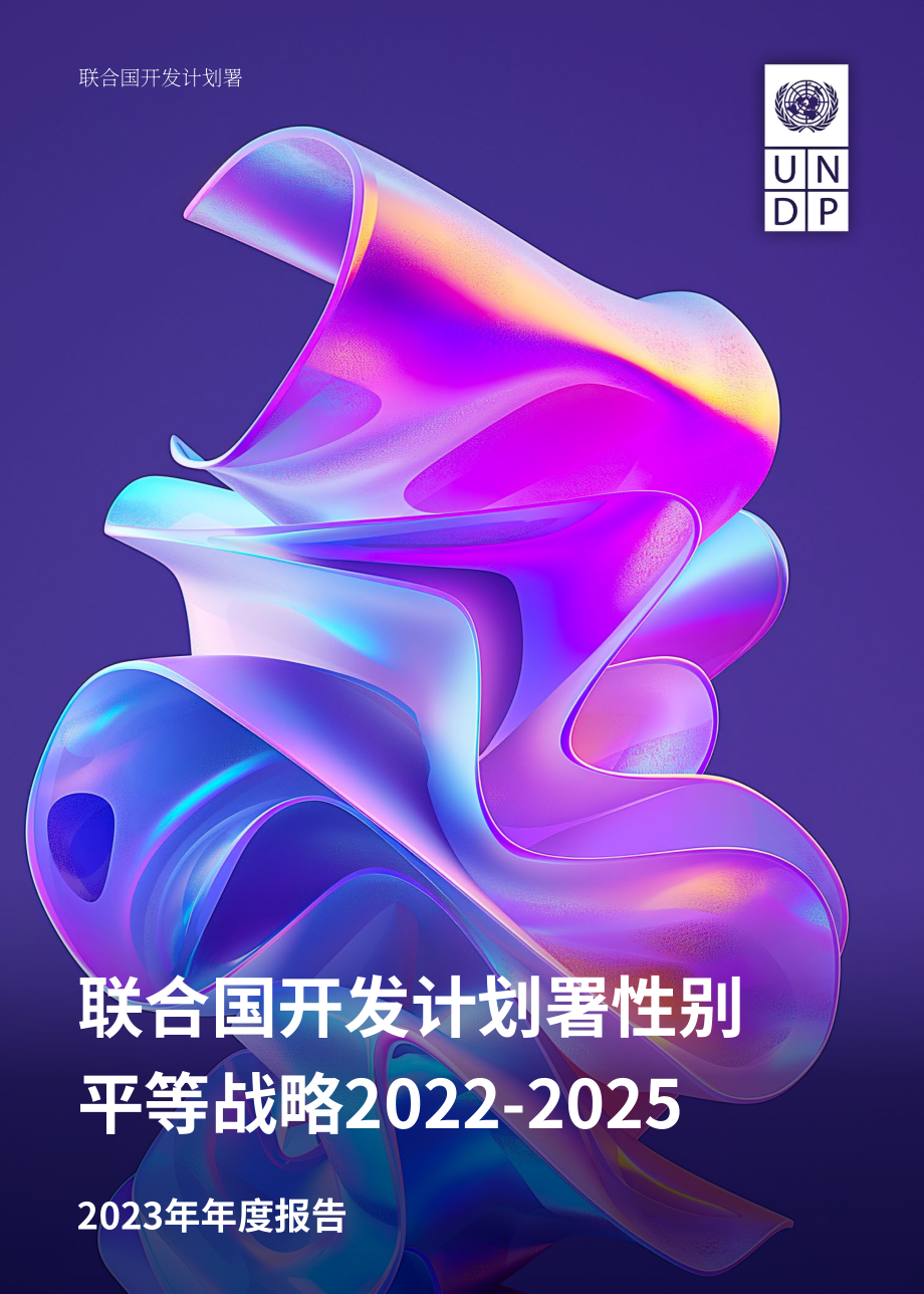 聯合國開發計劃署（UNDP）：2022-2025年兩性平等戰略報告（英文版）（19頁）.pdf_第1頁