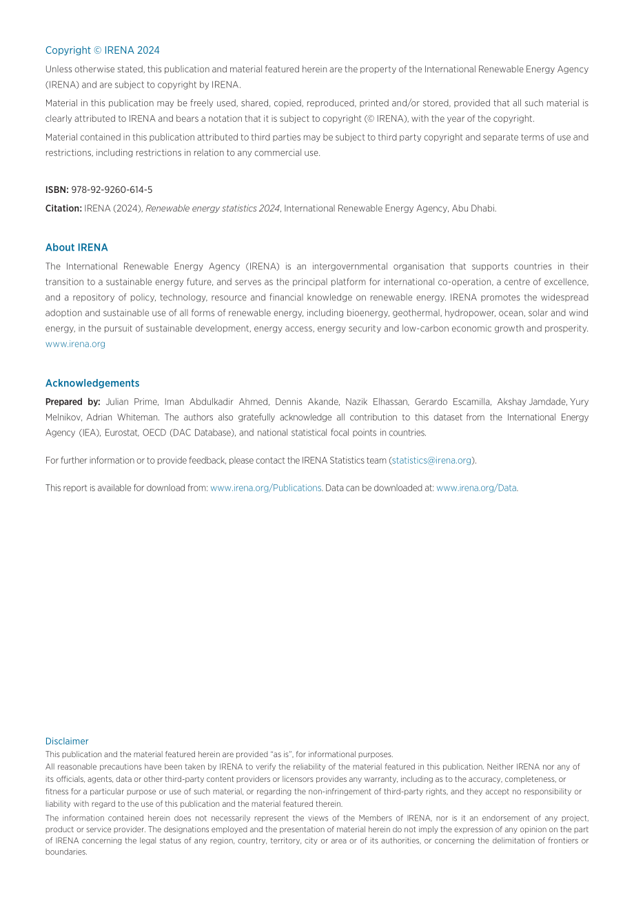 IRENA：2024可再生能源數(shù)據(jù)統(tǒng)計報告（英文版）（299頁）.pdf_第2頁