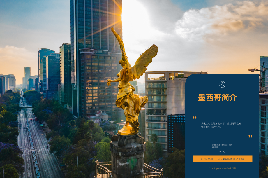 全球商業報告（GBR）：2024年墨西哥化工行業報告（英文版）（51頁）.pdf_第4頁