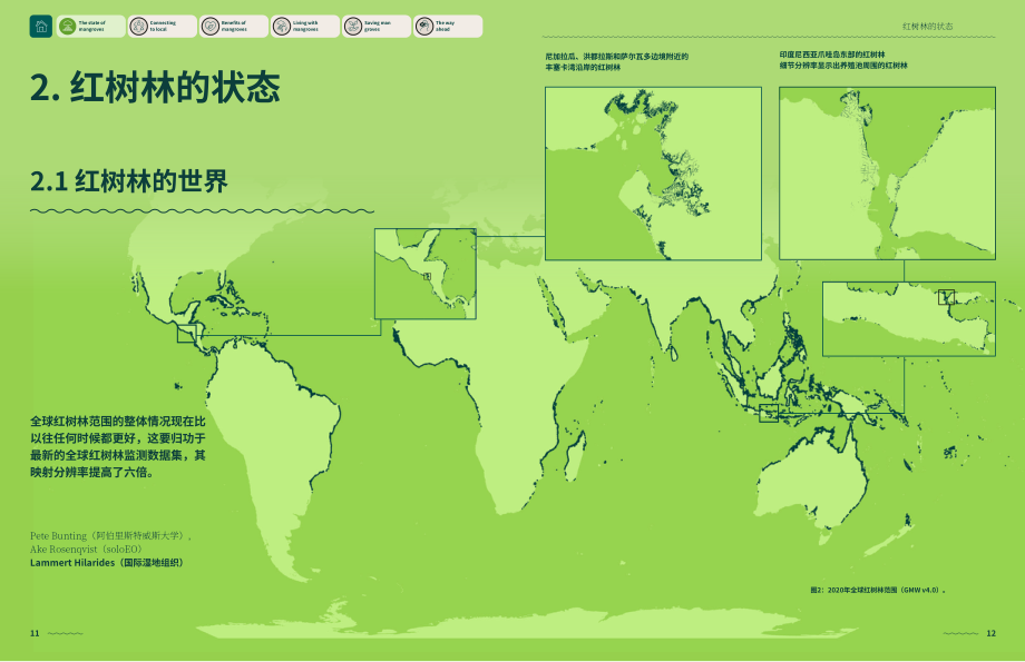 全球紅樹林聯盟：2024世界紅樹林狀況報告（英文版）（71頁）.pdf_第8頁