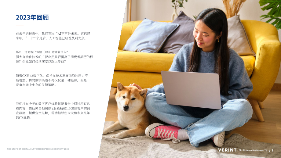 Verint：2024 數(shù)字客戶體驗(yàn)報(bào)告（英文版）（20頁(yè)）.pdf_第3頁(yè)