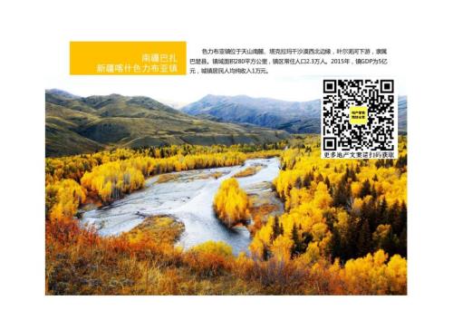 新疆喀什色力布亞鎮(zhèn)-南疆巴扎