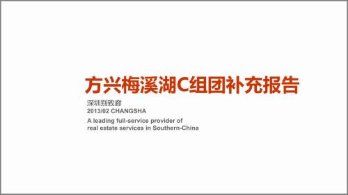 長沙梅溪湖綜合體項目C組團補充報告88頁