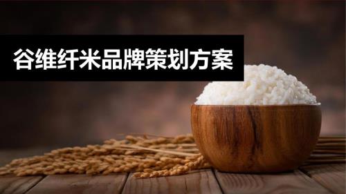 2023谷維纖米食品品牌策劃方案-22頁