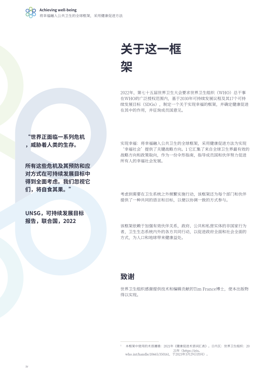 WHO：2024實現(xiàn)福祉：利用健康促進方法將福祉納入公共衛(wèi)生的全球框架（英文版）（44頁）.pdf_第6頁