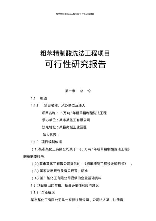 粗苯精制酸洗法工程建設項目可行性研究報告（67頁）